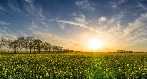 SOPHRO BALADE 22 mai 2021. L’opportunité d’un moment de lâcher prise